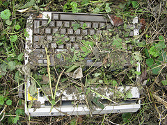 Typewriter Covered with Vegetation