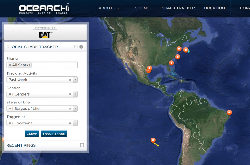 OCEARCH Tracking Map (screenshot)