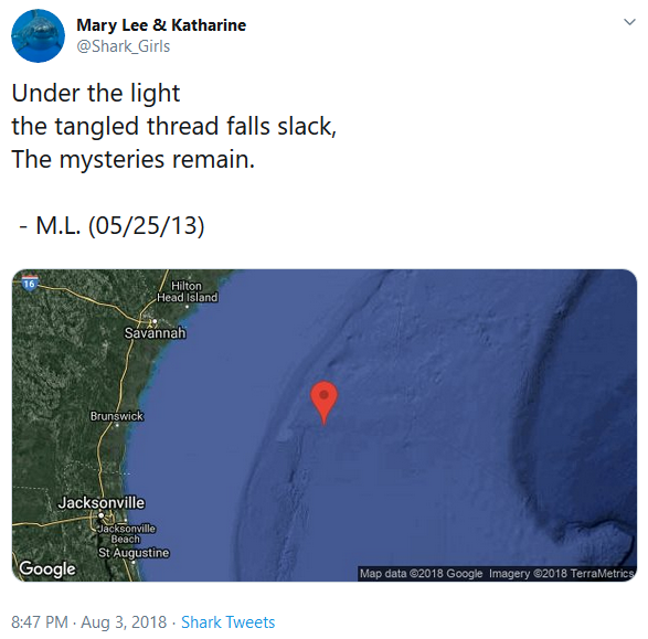 Screenshot of the Twitter @shark_girls account, with the tweet reading "Under the light / the tangled thread falls slack, / The mysteries remain"
